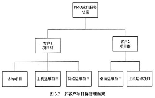 第3章 信息技術服務知識 技術服務